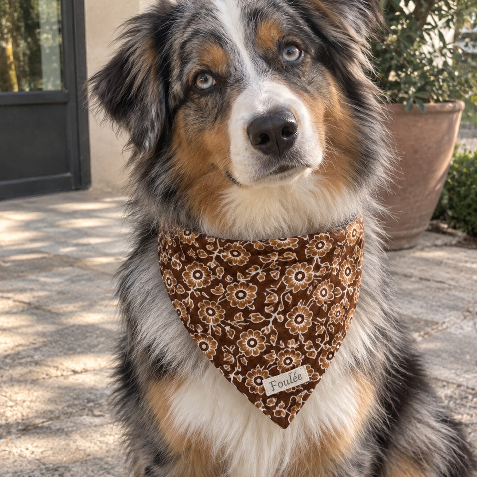 Bandana chien Honorine